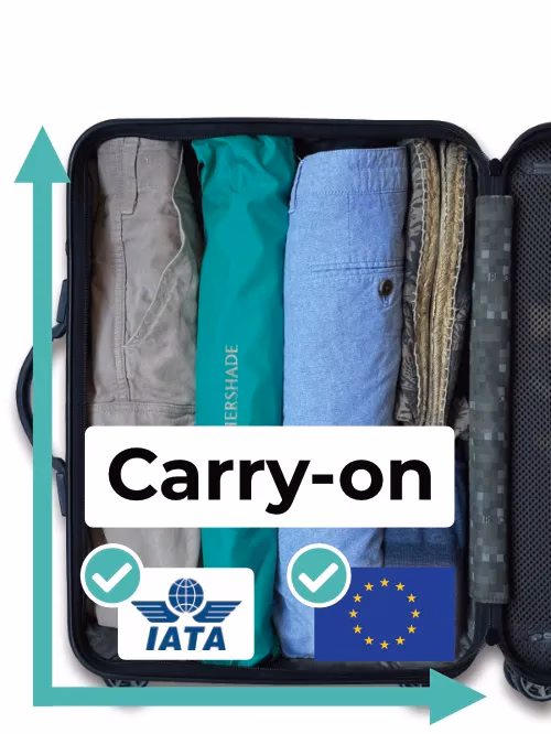 Airplane carry-on